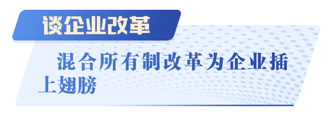 以制度创新推进国有企业混合所有制改革
